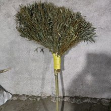 ���~�����ֹ���߰ё����r��h�l��I�����R·ͥԺ���Ò���