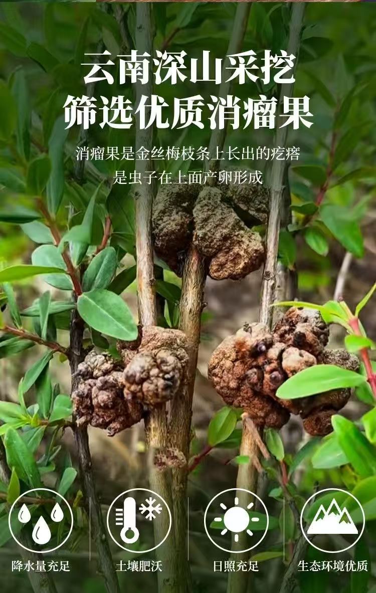 Xiao Liu Guo Dried Fruit 150g Jar Traditional Chinese Herbal Ingredient for Culinary Use quality and texture