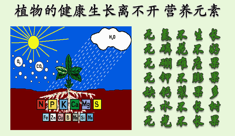 5详情产品特点及功效5