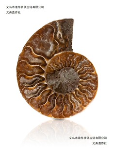 �ٰl������̖�߲��ݻ�ʯ ��Ȼ����������ս̌W�ջ�ʯ�˱�diy����