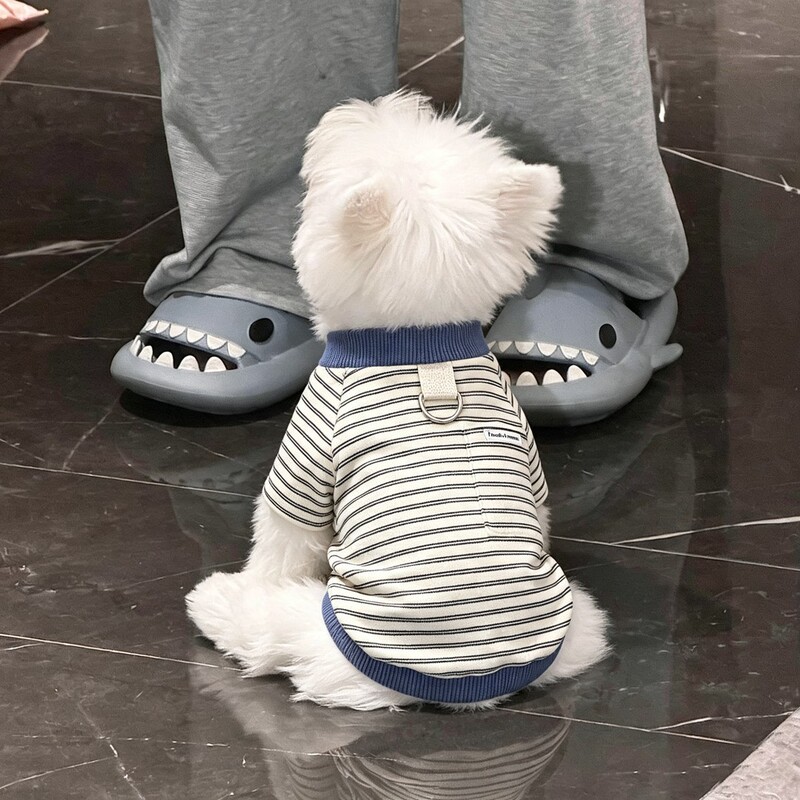 Dog Clothes for Spring and Autumn, New Stylish Striped Two-Legged Coat with Leash Attachment, Warm Sweatshirt for Teddy, Bichon, and Small Dogs Dog Clothes for Spring and Autumn, New Stylish Striped Two-Legged Coat with Leash Attachment, Warm Sweatshirt for Teddy, Bichon, and Small Dogs