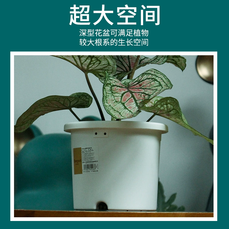 爱丽思 Deepot Nordic Simple Root Root Renolun Pot Rose West Global Green Polytic Plastic Plaster Basin