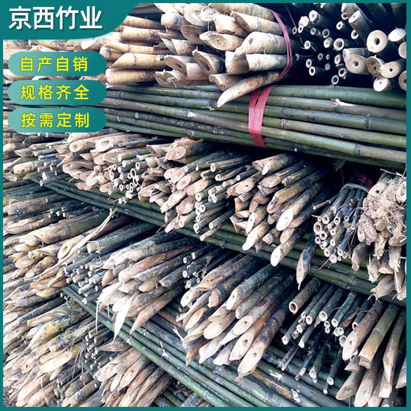 苦竹 产地销售4米5米6米苦竹杆子 竹竿农用蔬菜苗圃大棚菜架竹杆