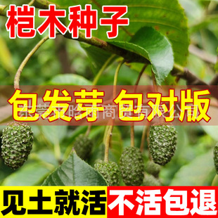 ��ľ�N����ľ�N���ļ�����ˮ���Ϙ�N��ˮ���L����N�ӽ��Ϙ�ľ�N