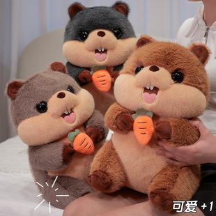 �ɐ�������ë�q�������������޹�����؛��ͯ������նY��羳�¿�