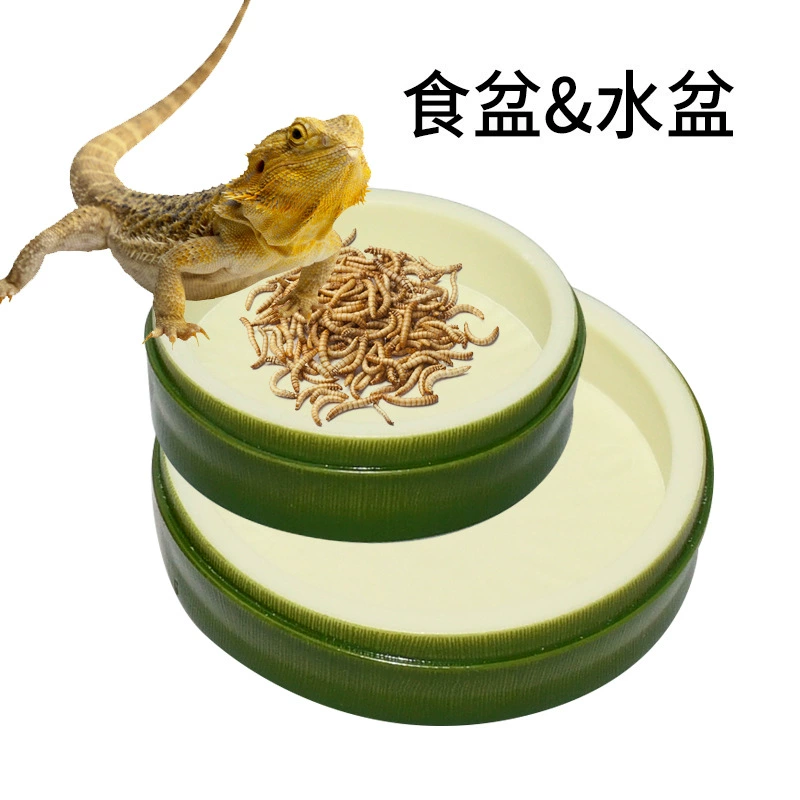 Листовой корм для рептилий водный бассейн черепаха охранник дворец Кукуруза змея скалолазание домашнее животное поилка пластиковые принадлежности зеленое экологическое моделирование