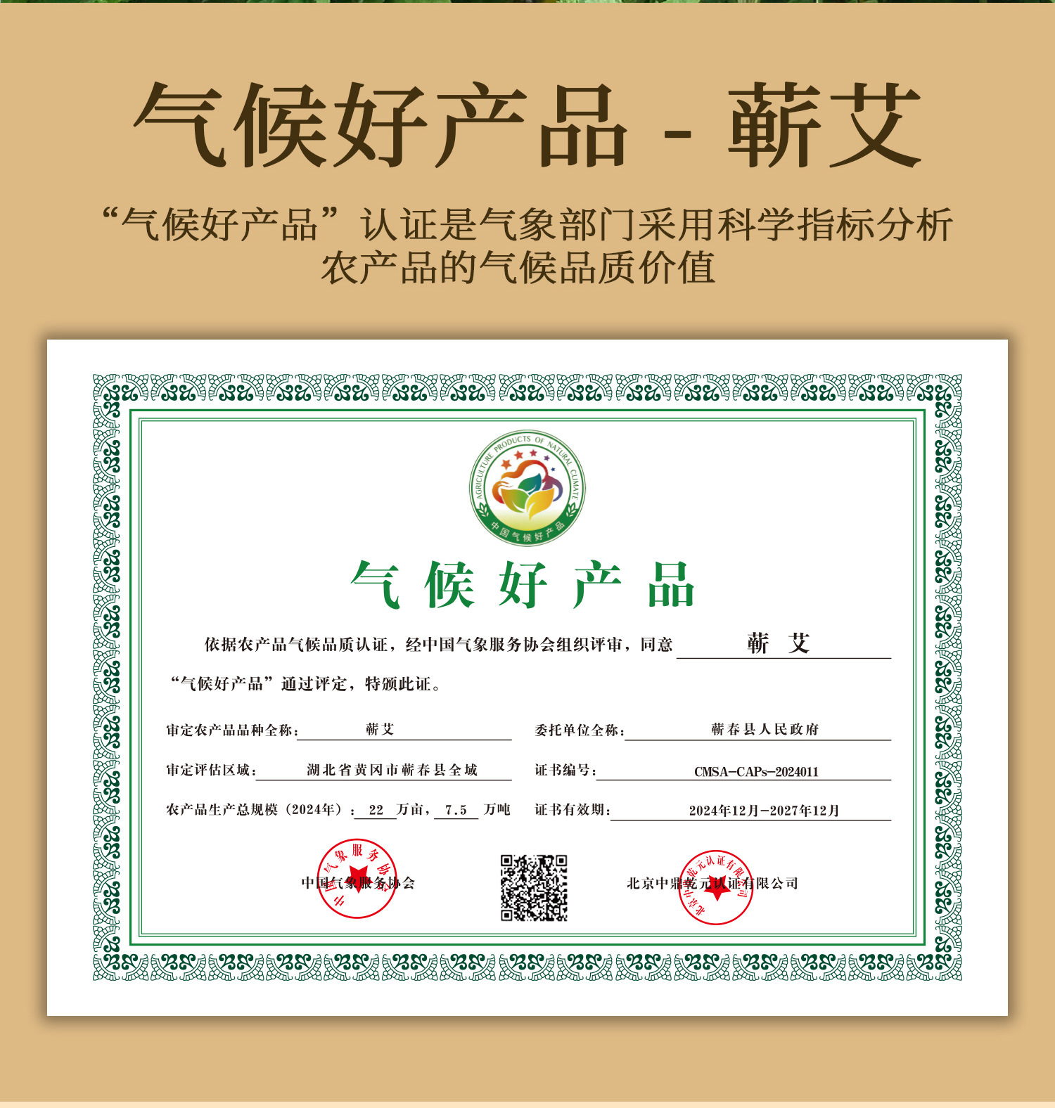 Qichun Moxa Sticks Ai Tiao 1.8x20cm Pure Mugwort Moxibustion Rolls 10 Pack for Warming Therapy quality and texture