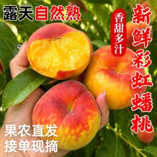 �ʺ�����S��ˮ����¶����Ȼ��Fժ���r����ˮ��5����@ֱ�l
