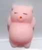 No. 39 pink cat