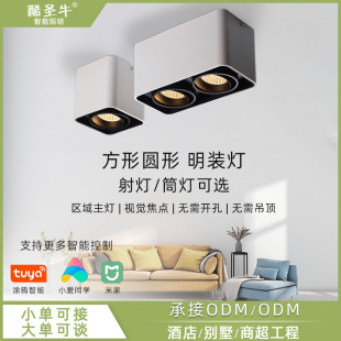 �������bͲ��  COB��đ��ş��컨�����ßo�������܆��p�^���