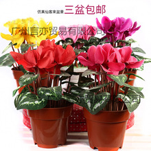 �ɿ́��辰�ٻ��c���̨�͏d�ҕ���b��҃��軨�[�O���Ҕ[��