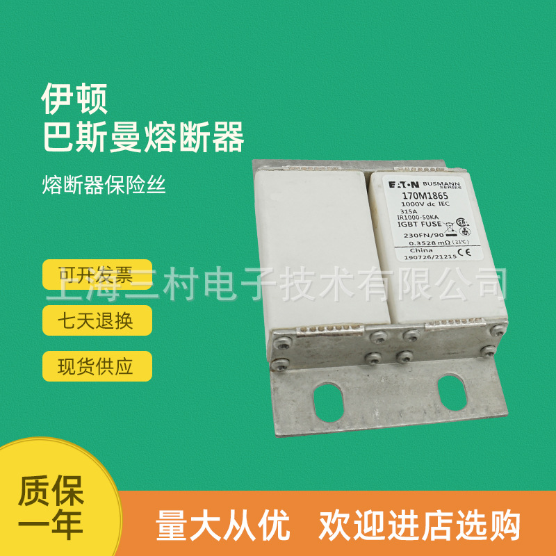 全新原装现货快速熔断器保险丝断路器170M1853 170M1860 170M1861