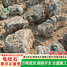 龟纹石景观石头草坪石风景石公园造景石头假山石料龟纹石假山设计