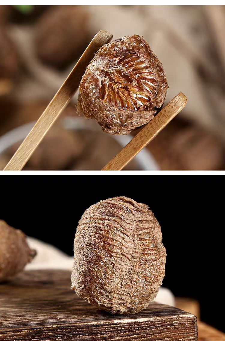 Sang Piao Xiao (Mantidis Ootheca) — Dried Wild Mantis Egg-Case Herb, 500g in use