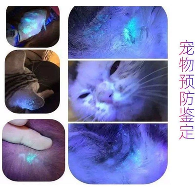 UV fənərlər – identification, fungus detection, Wood-type lamp