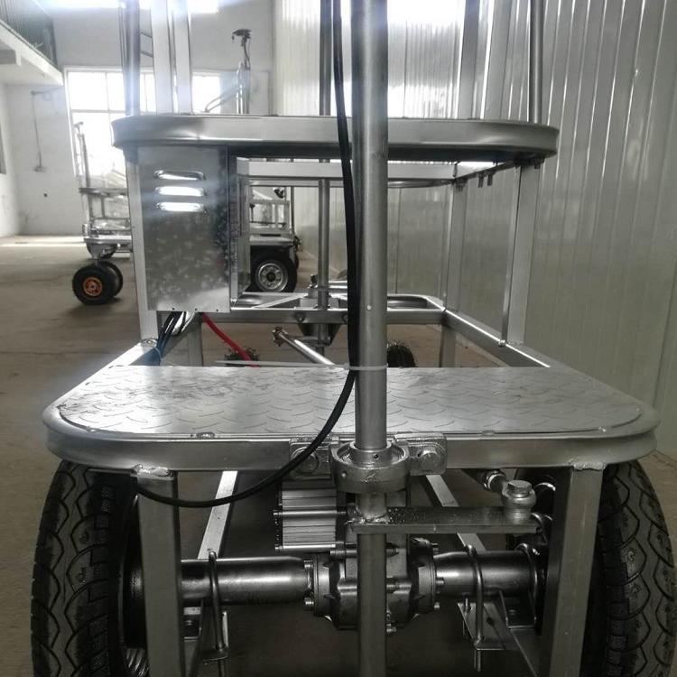 Gran capacidad de carga eléctrica para la observación de gallinas de baja velocidad de prevención epidémica de vehículos de patrulla artificial