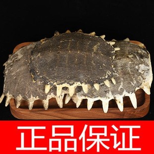 ��ș�� ���M�� �M�ך� ���~�� �M�w�� ���~�� �ϼ� �Ϛ� �F�~��