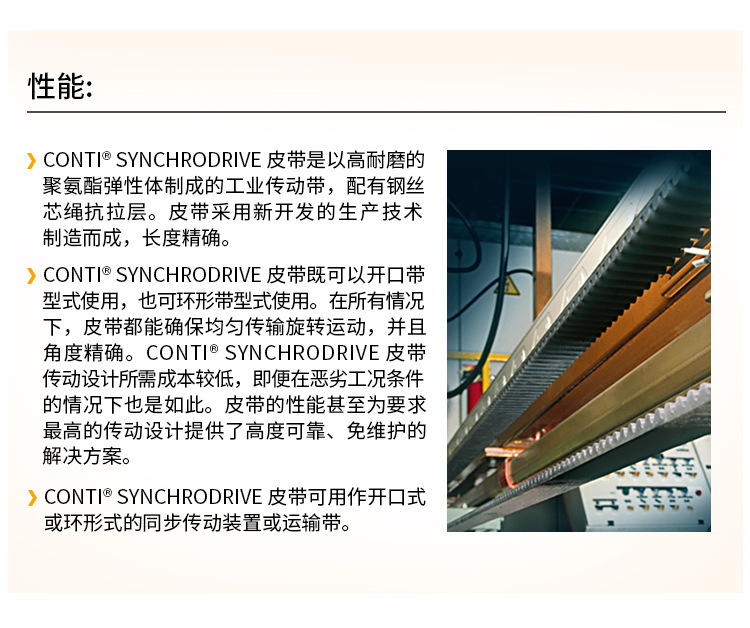 AT5梯形齿 (2).jpg