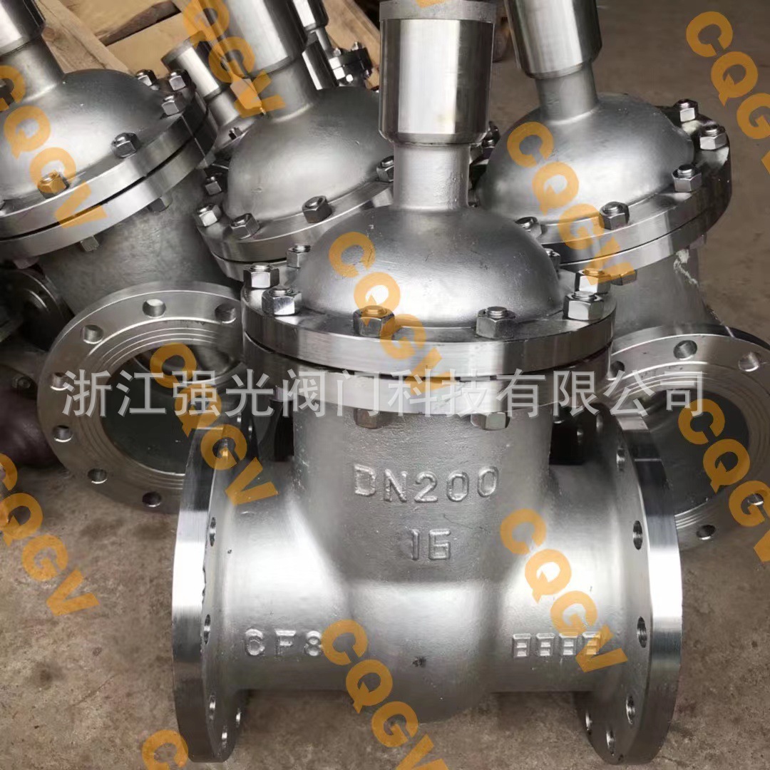FDZ45W-16P，FDZ45W-25P,不锈钢防盗闸阀,不锈钢防盗锁闭闸阀,304