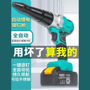 Ruishi Dayi Electric Rivet Gun Lithium Battery Automatic Rivet Gun Rechargeable Industrial Rivet Tool