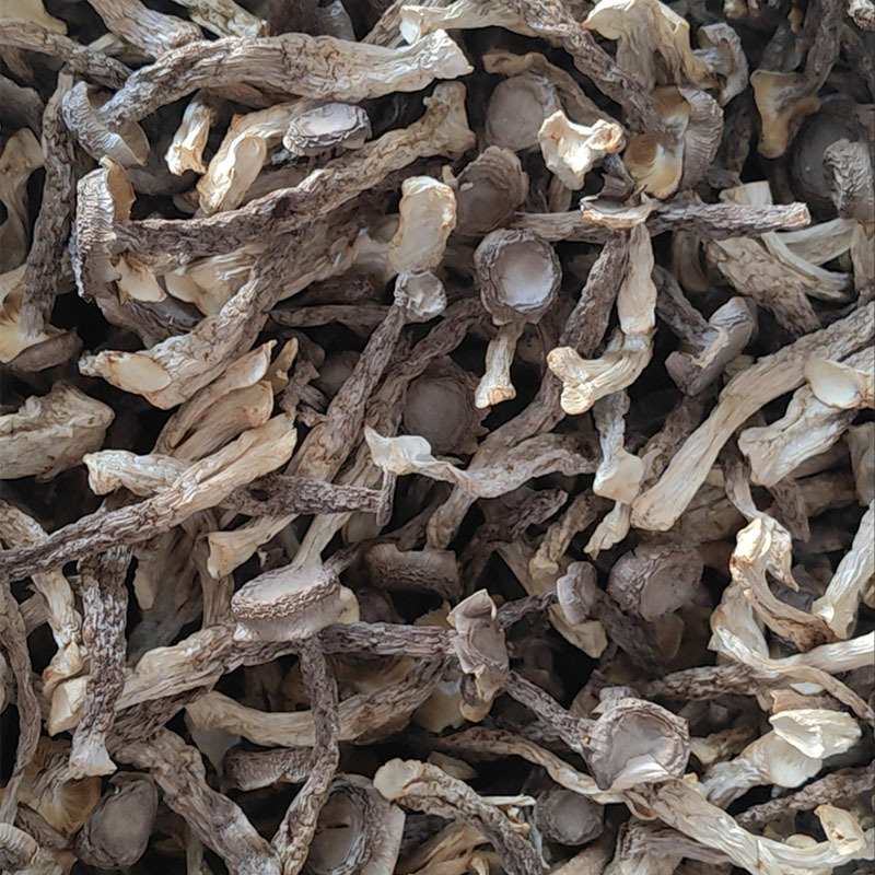 53127435f657bfa3fe2e9f1f93eeae