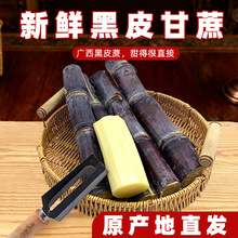 广西黑皮甘蔗新鲜当季脆甜多汁整箱包邮原产地直发