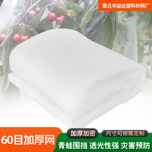 防虫网多规格加工定制农业用果树防虫加厚耐用网60目加厚防虫网