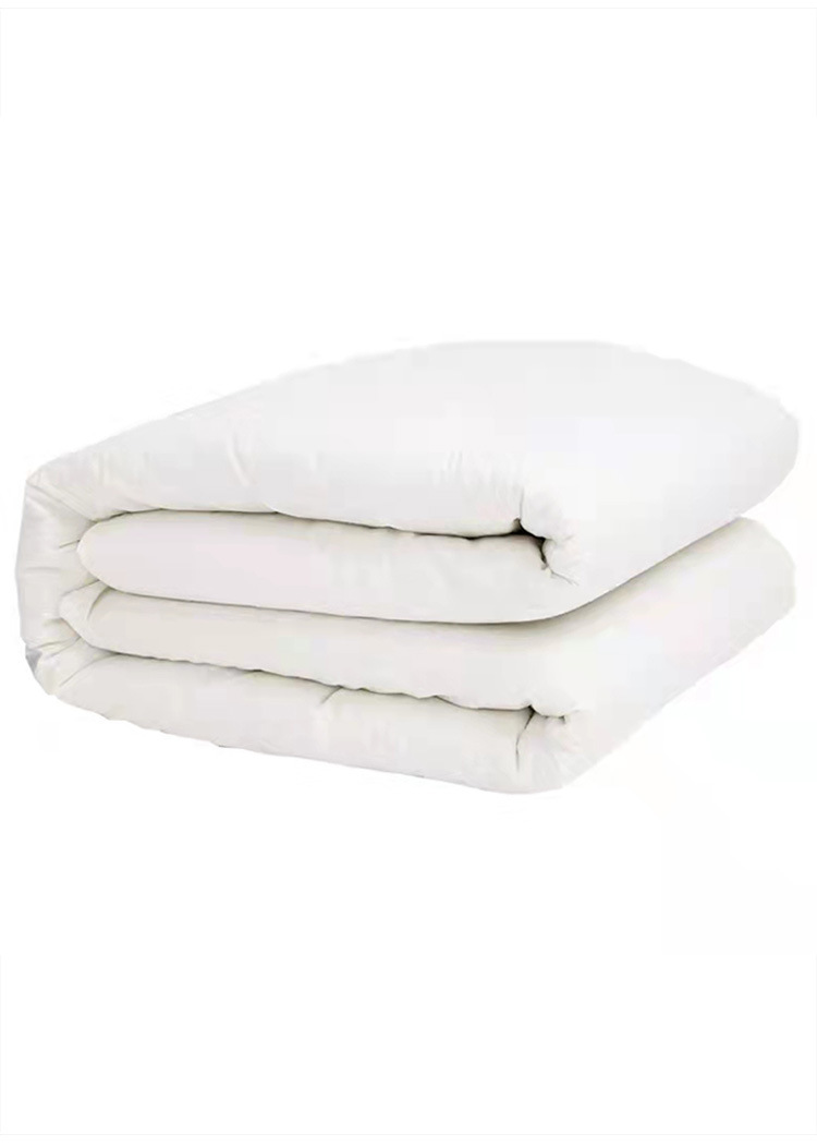 床垫,床垫子,床褥,褥子,单人床垫