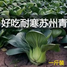 ~_KN߲˷NӴȫﶬļN߲ݿͺ