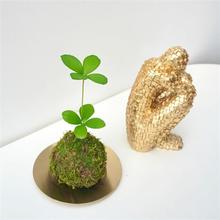 ���~��̦�\�����\��ī�����F�҃������F��ֲ���k���͏d�GֲС����