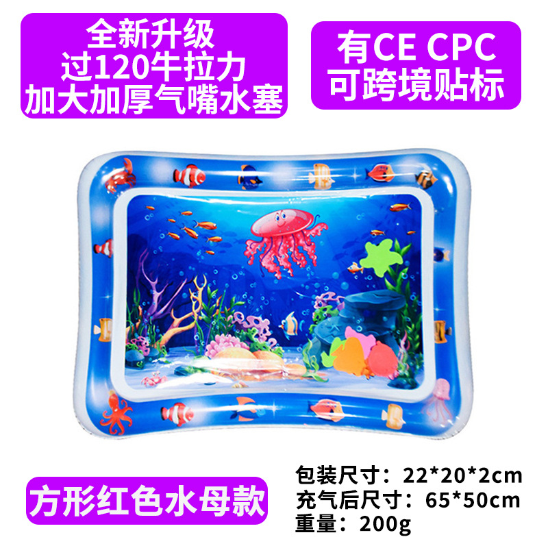 스퀘어 레드 해파리