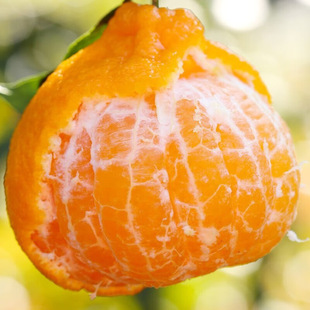 �Ĵ��ɶ���Ҋ�ҰҸ̘���޽ӹ��������θ̳����ϱ����Nֲ����Y��