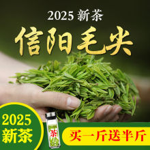 茶叶信阳毛尖2024新茶雨前春茶高山云雾散装绿茶一件分销批发包邮