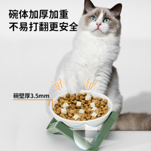 All-Season Stainless Steel Cat Food Bowl, Tall Shelf, Ceramic Anti-Knock over Rice Bowl for Dogs, Pet Eating Cat Bowl
