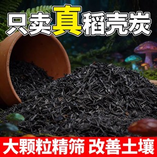 ��ľ����Ȼ����̿�N���õĲ�ľ�҈@ˇ⛷��m����������߲��ЙC��