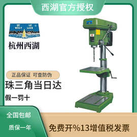 杭州西湖轻型小台钻ZHX-13ZQ4113铣床机床工业级台钻钻床电钻220V