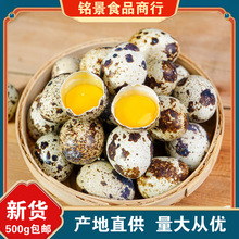 ���g�������r25/50/100ö�r��ɢ�B�B����ˮ����oʳ