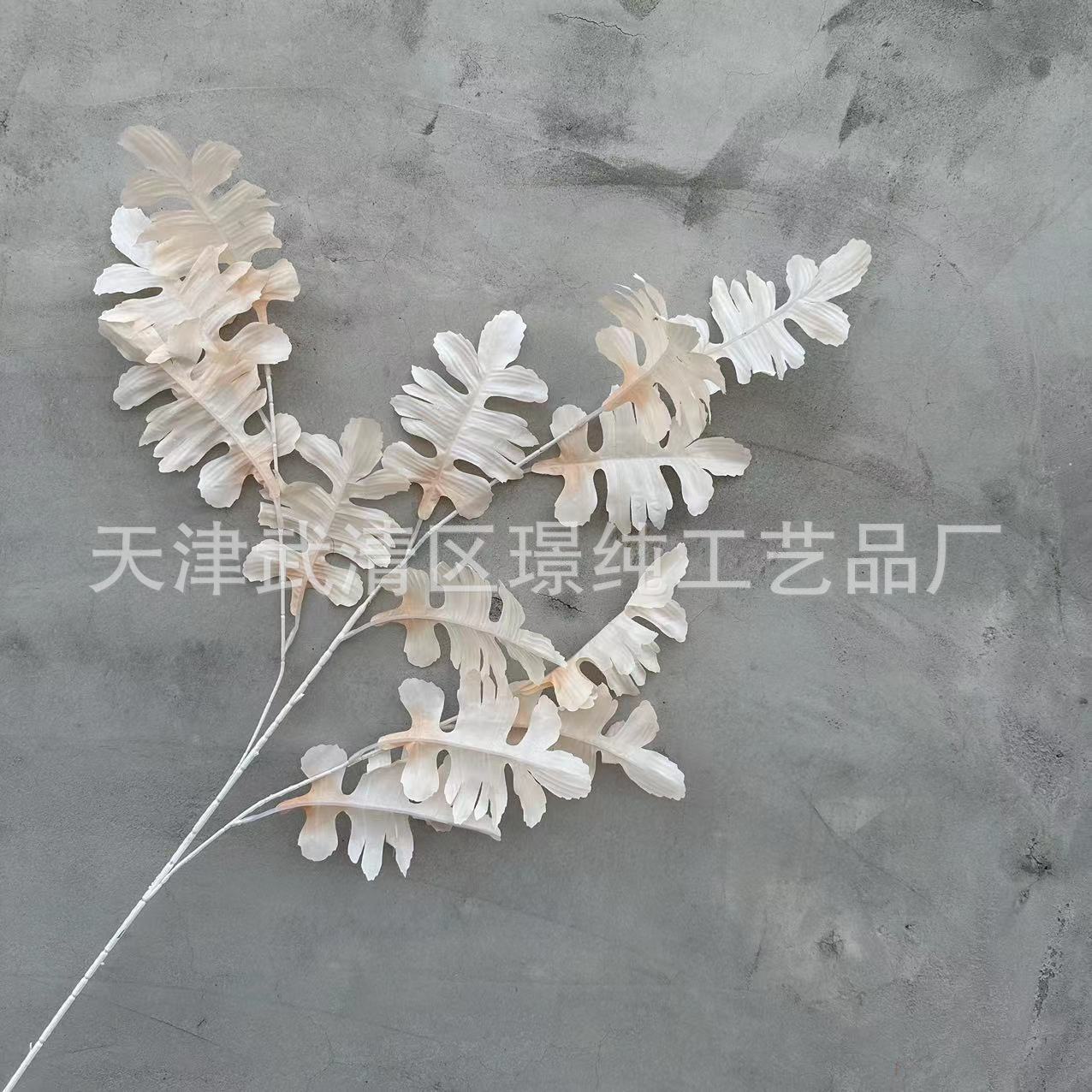 샴페인