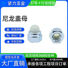 �����wĸ DIN986�����w��ĸ��ɫʢ��Ť�����i�A��w��ĸ