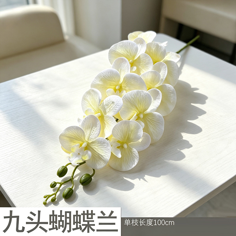 3D Phalaenopsis mới/vàng huỳnh quang