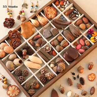 ��Ȼֲ�������������ɭϵ�������h��耳׿��֙C�diy�������
