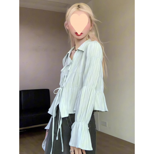 French-style lace sleeve long-sleeve women's spring shirt, new design, unique and exquisite small top