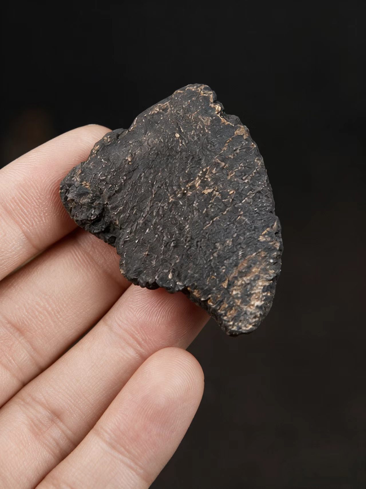 Cistanche Slices Rou Cong Rong Dried Herb for Tonic Wine and Decoction 1000g Bag key features