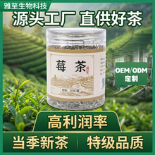 莓茶20g罐正宗张家界藤茶牙尖新茶龙须芽尖泡水喝养生茶定制工厂