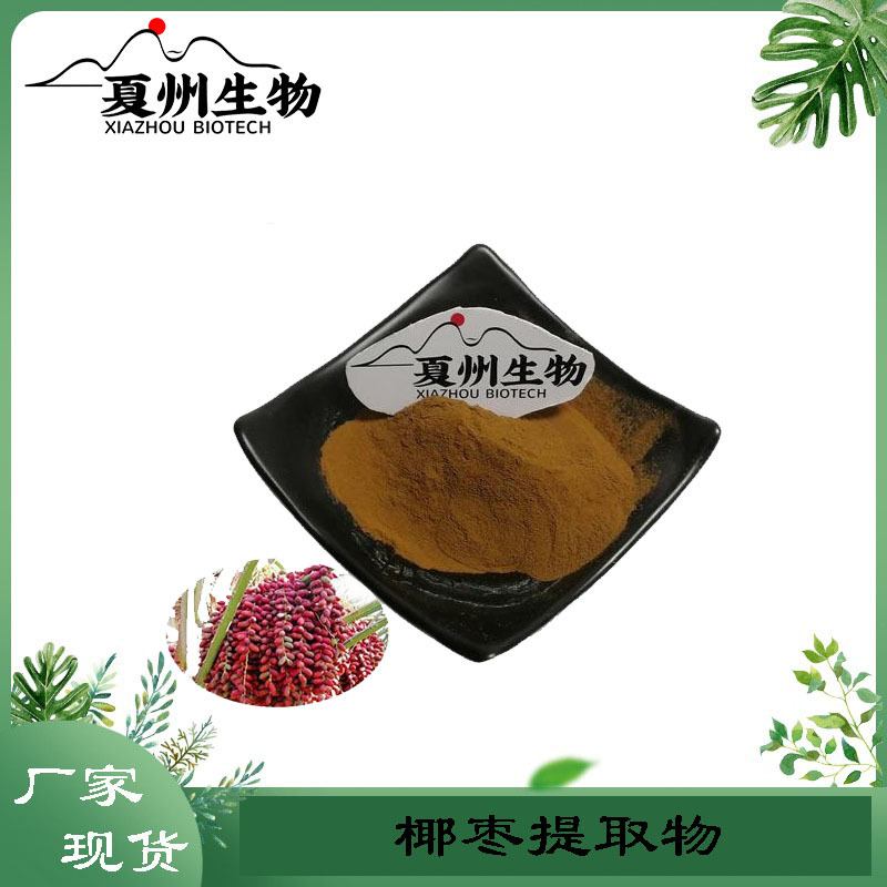 椰枣提取物 10/20/30:1规格 全溶粉  夏州原料 现货供应 公斤装