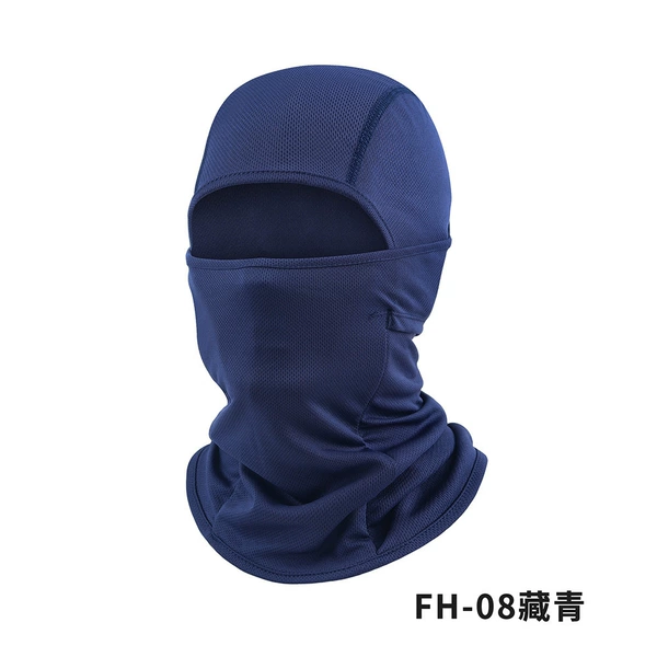 FH-08 Tibetan Qing