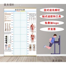 体态评估图健身房体测表瑜伽私教身体形体测评脊椎墙壁画装麦太保