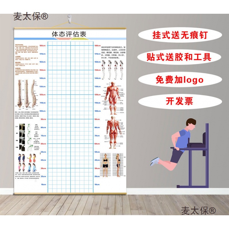 体态评估图健身房体测表瑜伽私教身体形体测评脊椎墙壁画装麦太保