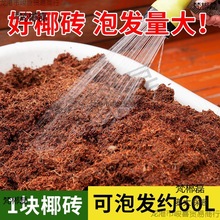 9���KҬ�u�I�B���B��ͨ����Ҭ�Ӛ�����Ү�u�N������Ó�}��̫��