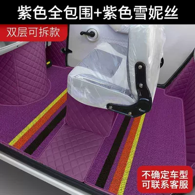 Electric vehicle foot mat – Jinpeng Snow Treasure Pro Special - double-layer-thickenedpurple-purple-slush-silk-send-the-license-plate-number-and-vehicle-model-to-customer-service